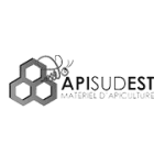 Logo API Sud Est