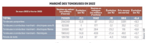 tableau du marché des tondeuse sur 2022